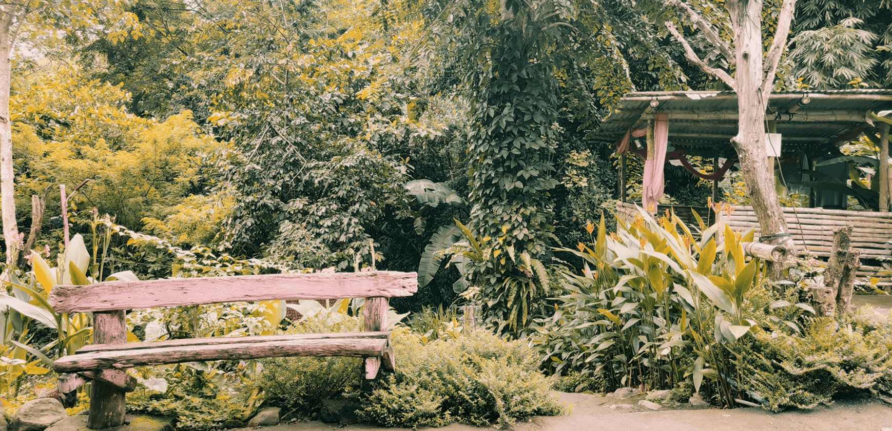 about us background image