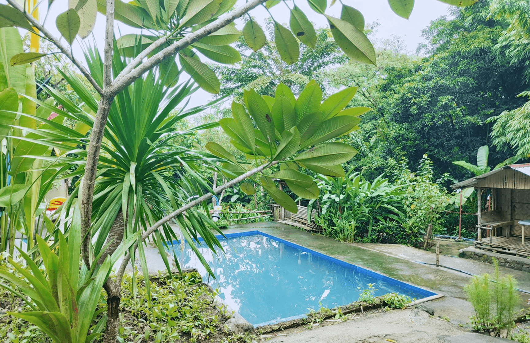 background of e-haven