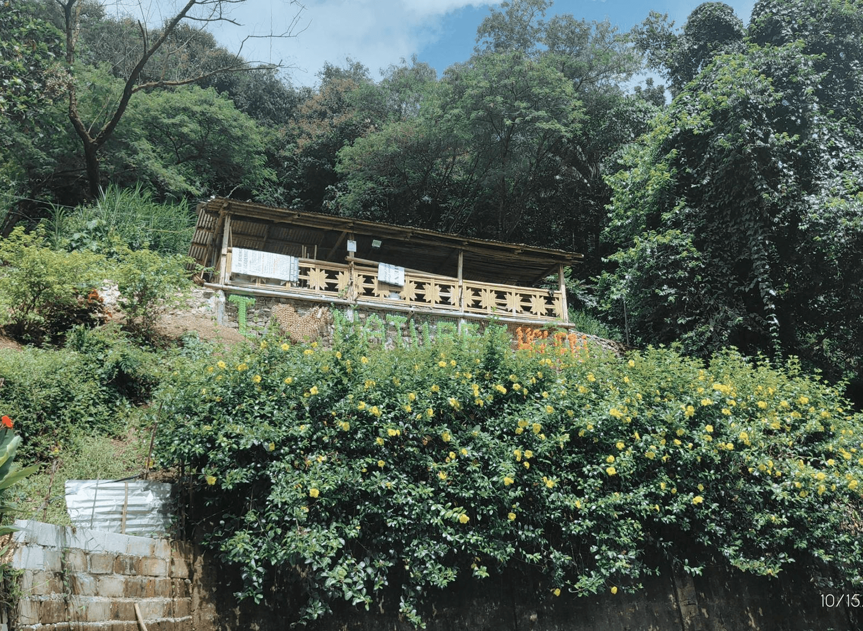 header background image